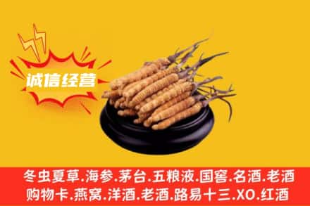 黄平县回收冬虫夏草